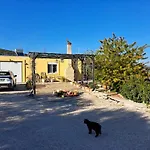 Grieks To Kalokairi Kougaíika