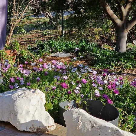 Grieks To Kalokairi Dom wakacyjny Kougaíika