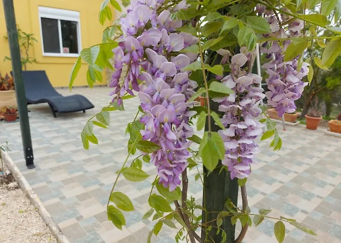 Grieks To Kalokairi * Kougaíika