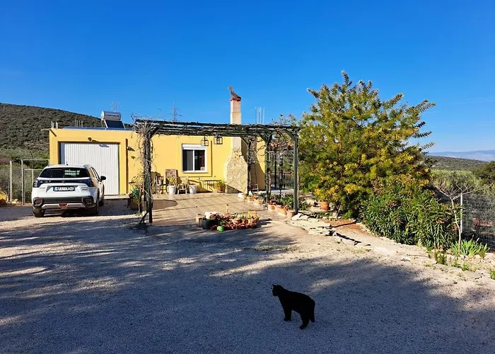 Grieks To Kalokairi Kougaíika